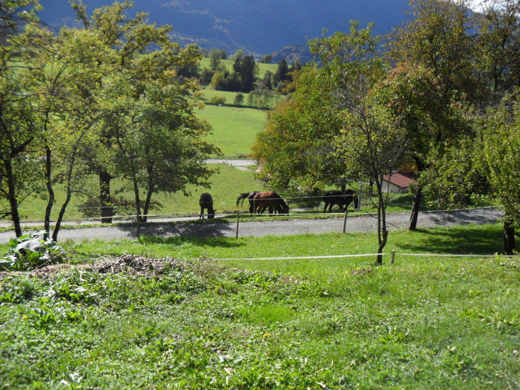 Ferienhaus Warmuth Apartamento Sankt Stefan an der Gail Exterior foto