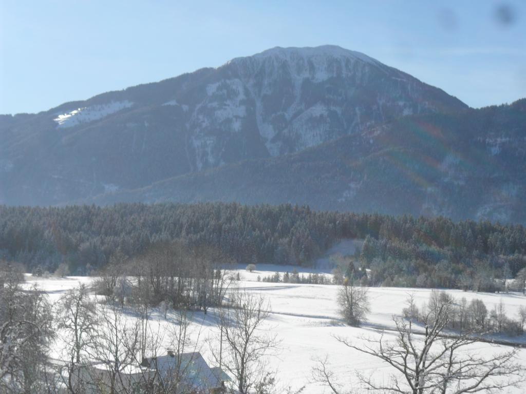 Ferienhaus Warmuth Sankt Stefan an der Gail Exterior foto